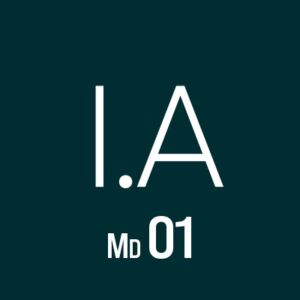 Curso de Inteligência Artificial – Módulo 01