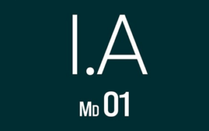 Curso de Inteligência Artificial – Módulo 01